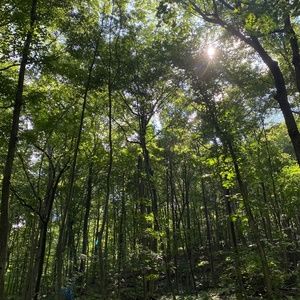 Meet your Posher, Mckenzie